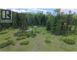 Barnes Creek Forest Service Road Lot# 34, Needles, BC V0G1J0 Photo 7