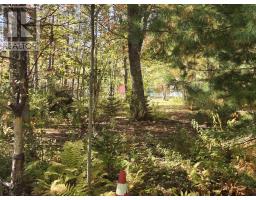 1794 Loch Broom Loop, Loch Broom, NS B0K2A0 Photo 10