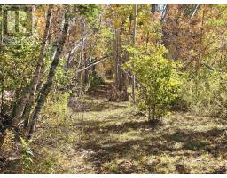 1794 Loch Broom Loop, Loch Broom, NS B0K2A0 Photo 9