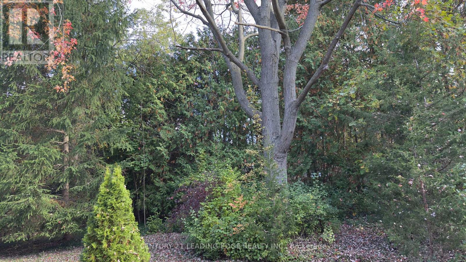 117 WESTWOOD LANE - 4