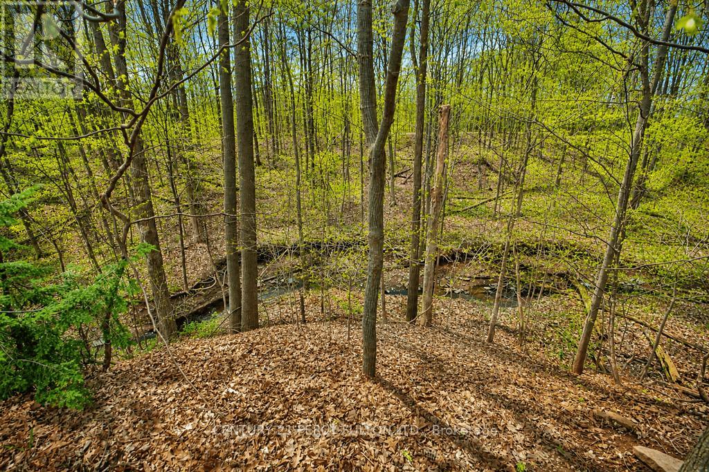 1386 FOREST GLADE ROAD - 15