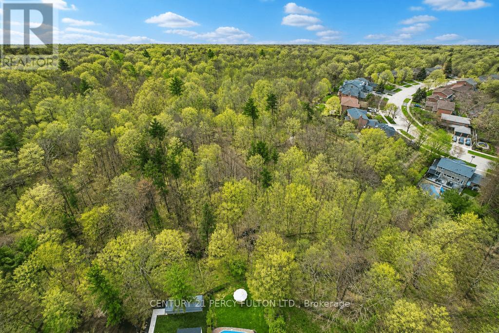 1386 FOREST GLADE ROAD - 17