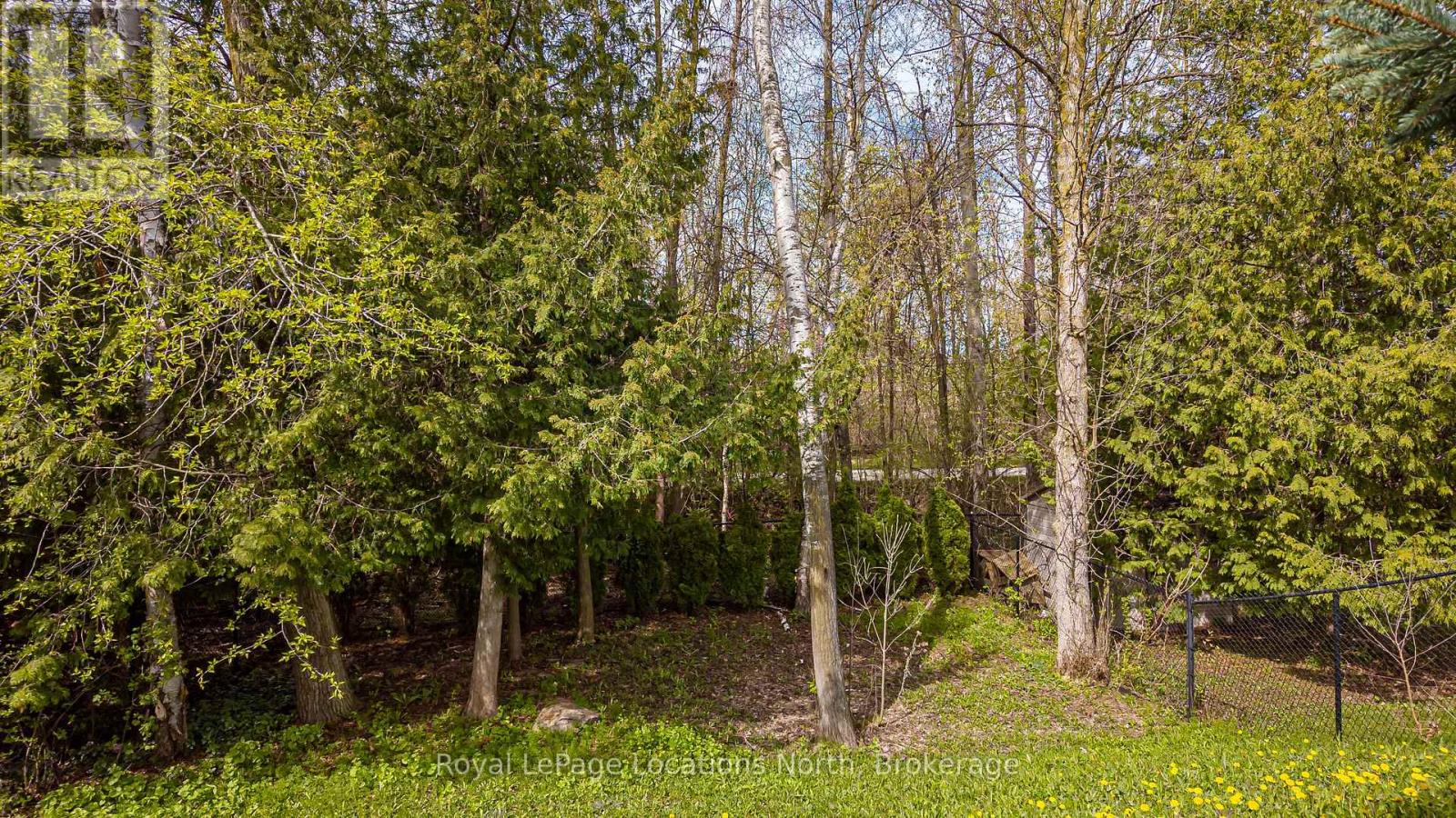 6 WILLIAMS STREET - 41