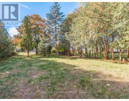 Bsmt - 87 Watson Street, Toronto, ON M1C1E2 Photo 25