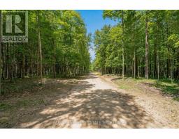 8418 Tosorontio 20th Side Road, Adjala Tosorontio, ON L0M1M0 Photo 44