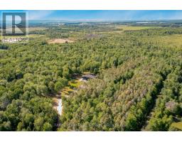 8418 Tosorontio 20th Side Road, Adjala Tosorontio, ON L0M1M0 Photo 48