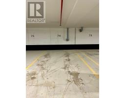 210 - 99 Louisa Street, Kawartha Lakes, ON K0M1N0 Photo 39