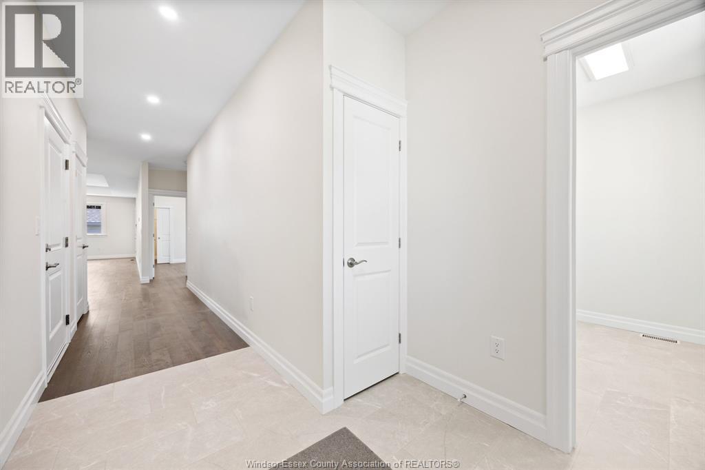 61 PEREIRA - 2