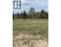 Plan:9720341 Lot:3, Grande Prairie, AB T8W2R7 Photo 8