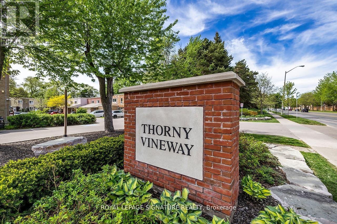 106 THORNY VINEWAY - 2