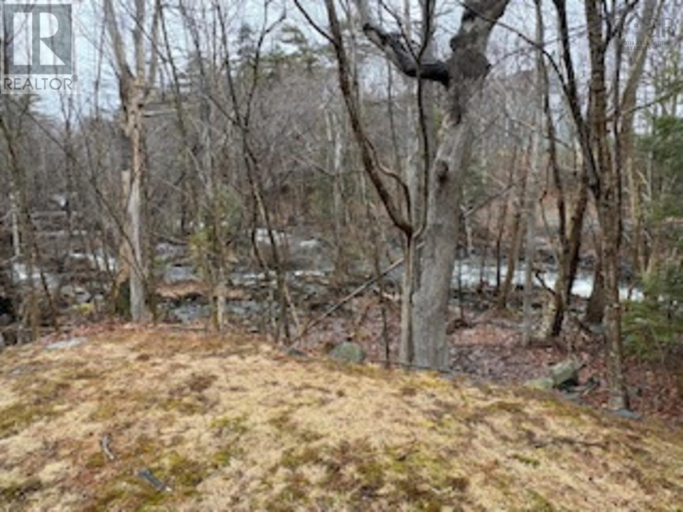 #204 41 Moirs Mill Road - 20