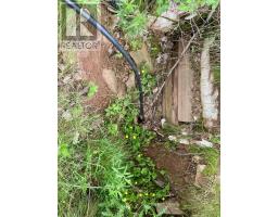 205 Thomas Dickson Road, Claremont, NS B0M1V0 Photo 6