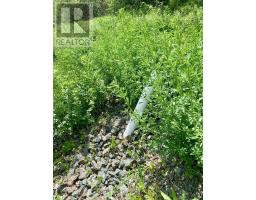 205 Thomas Dickson Road, Claremont, NS B0M1V0 Photo 7