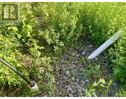 205 Thomas Dickson Road, Claremont, NS B0M1V0 Photo 9