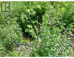 205 Thomas Dickson Road, Claremont, NS B0M1V0 Photo 8