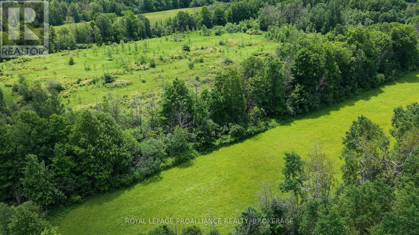 1462 COUNTY ROAD 8 - 18