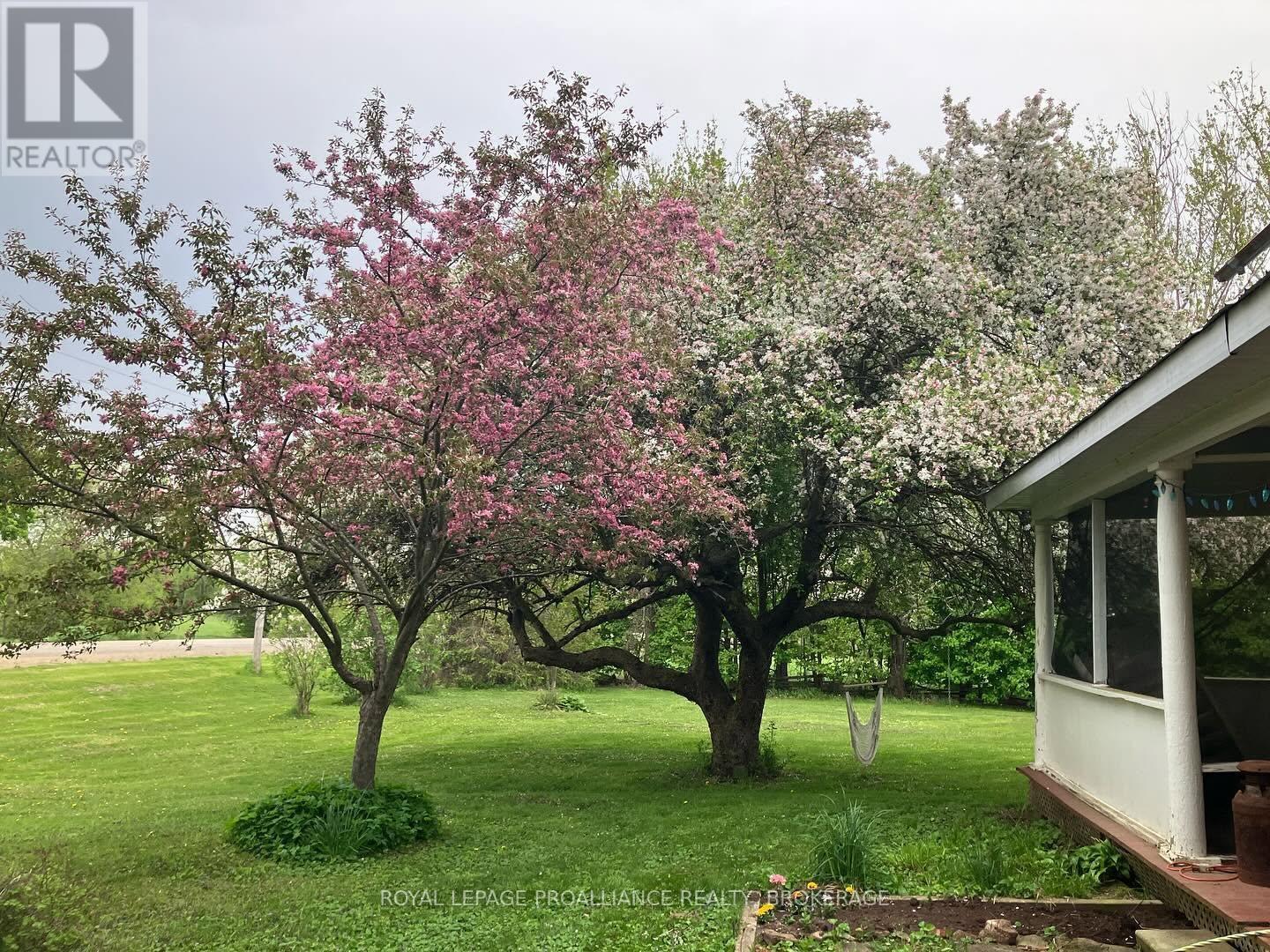 1462 COUNTY ROAD 8 - 22