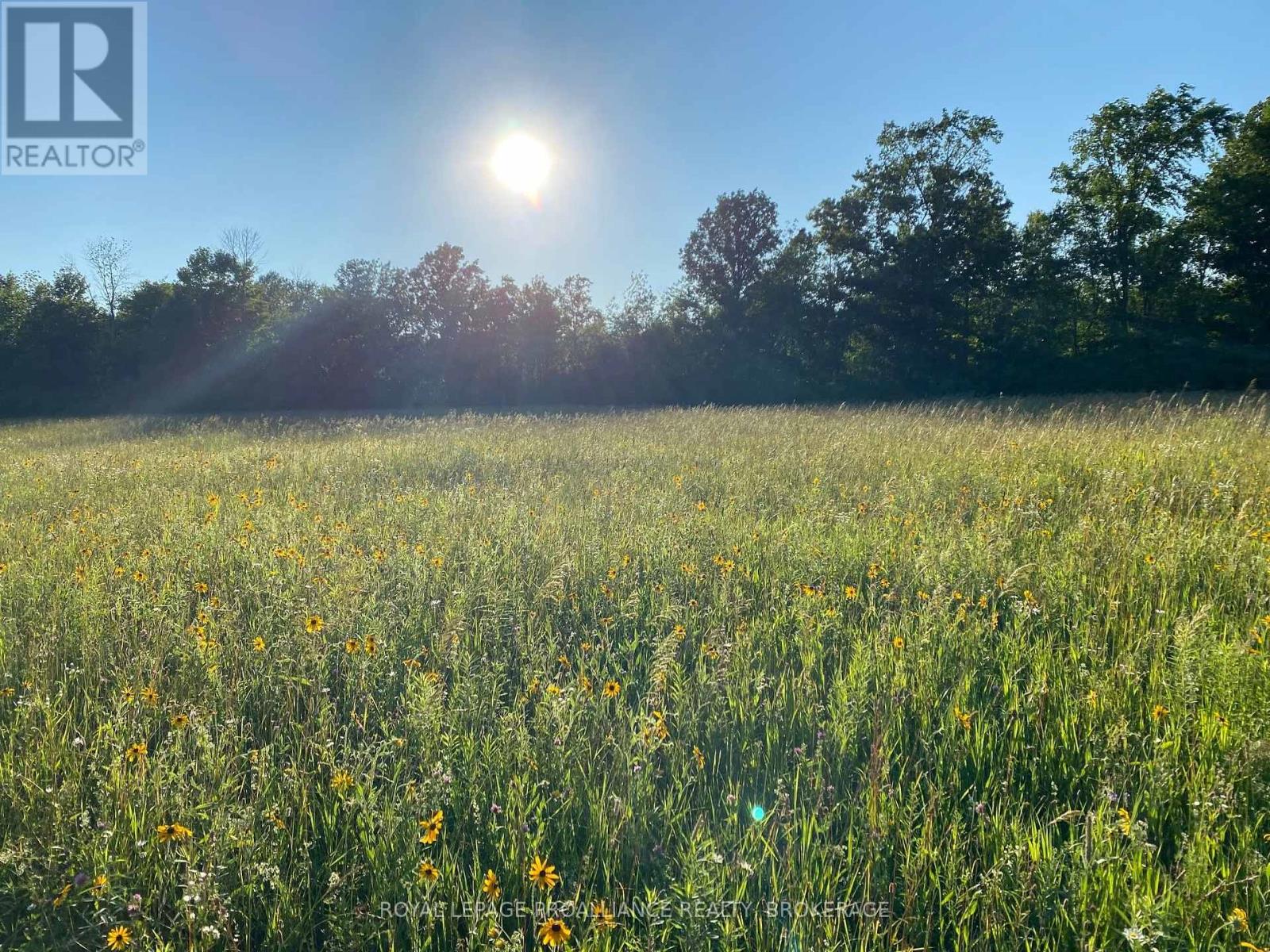 1462 COUNTY ROAD 8 - 23