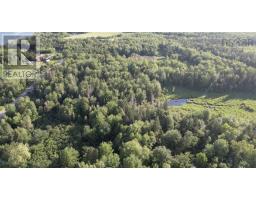 1420 Shinimicas Road, Northport, NS B0L1E0 Photo 11