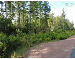 1420 Shinimicas Road, Northport, NS B0L1E0 Photo 6