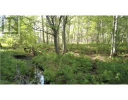 1420 Shinimicas Road, Northport, NS B0L1E0 Photo 7