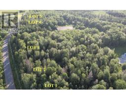1420 Shinimicas Road, Northport, NS B0L1E0 Photo 8