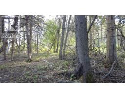 1420 Shinimicas Road, Northport, NS B0L1E0 Photo 9