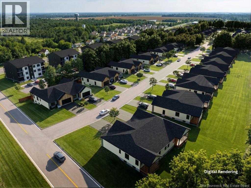 23 Viola-Léger - Image 11