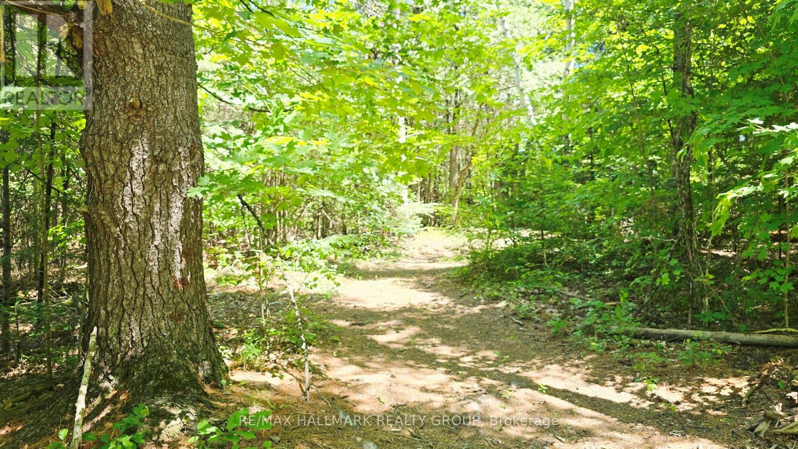 4318 STONECREST ROAD - 30