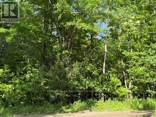 B2 PIPELINE ROAD, Cramahe — photo 3