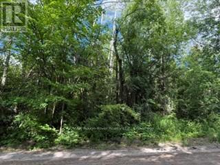 B1 PIPELINE ROAD, Cramahe — photo 3