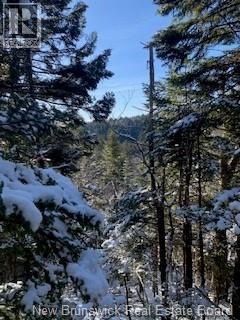 0 PattersonSiding/Town Plot Road, St. Martins — photo 2