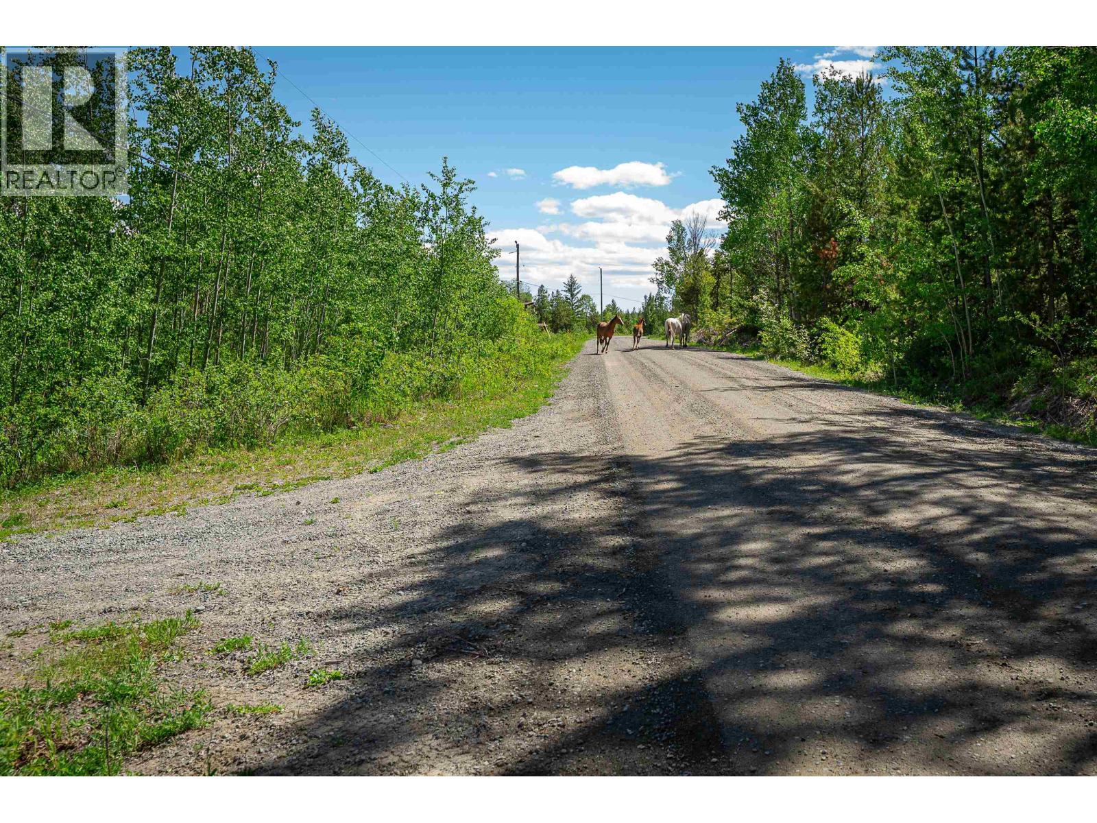 3918 PUNTZI LAKE ROAD - 36