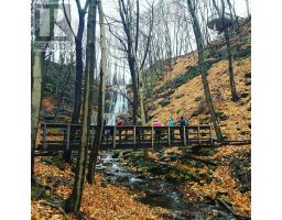4 Jerseyville Road E, Hamilton, ON L9G1K1 Photo 34