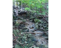 4 Jerseyville Road E, Hamilton, ON L9G1K1 Photo 36