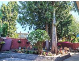 11933 Woodgrove Avenue, Delta, BC V4E3H2 Photo 28