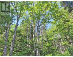 Lot 2 Perry Lane, Lennox Passage, NS B0E1K0 Photo 25