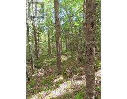 Lot 2 Perry Lane, Lennox Passage, NS B0E1K0 Photo 19