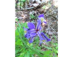 Lot 2 Perry Lane, Lennox Passage, NS B0E1K0 Photo 20