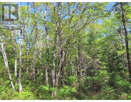 Lot 2 Perry Lane, Lennox Passage, NS B0E1K0 Photo 27