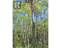 Lot 2 Perry Lane, Lennox Passage, NS B0E1K0 Photo 29