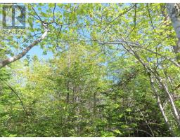 Lot 2 Perry Lane, Lennox Passage, NS B0E1K0 Photo 28