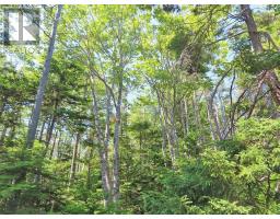 Lot 2 Perry Lane, Lennox Passage, NS B0E1K0 Photo 31