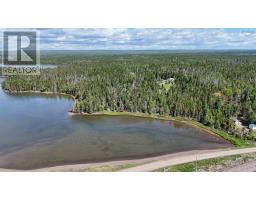50 Riverview Drive, South River Bourgeois, NS B0E2X0 Photo 49