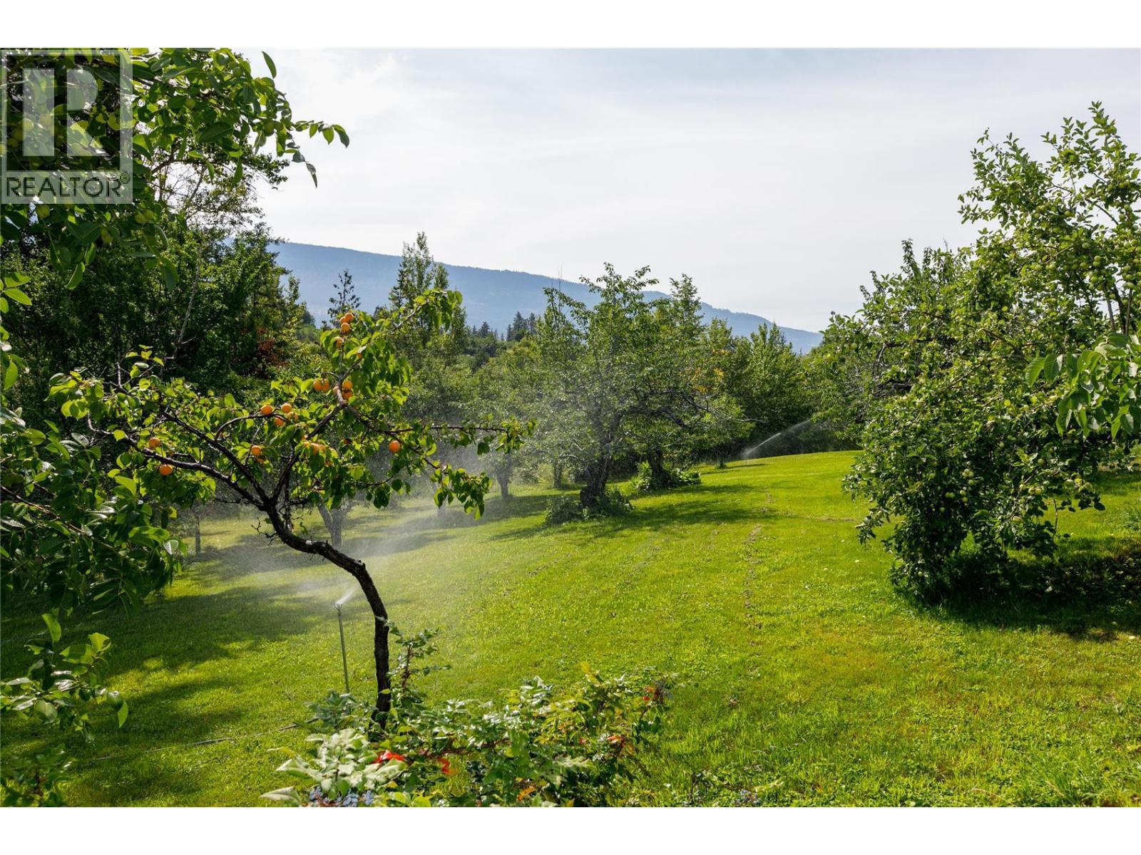 16821 Owl's Nest Road - 47