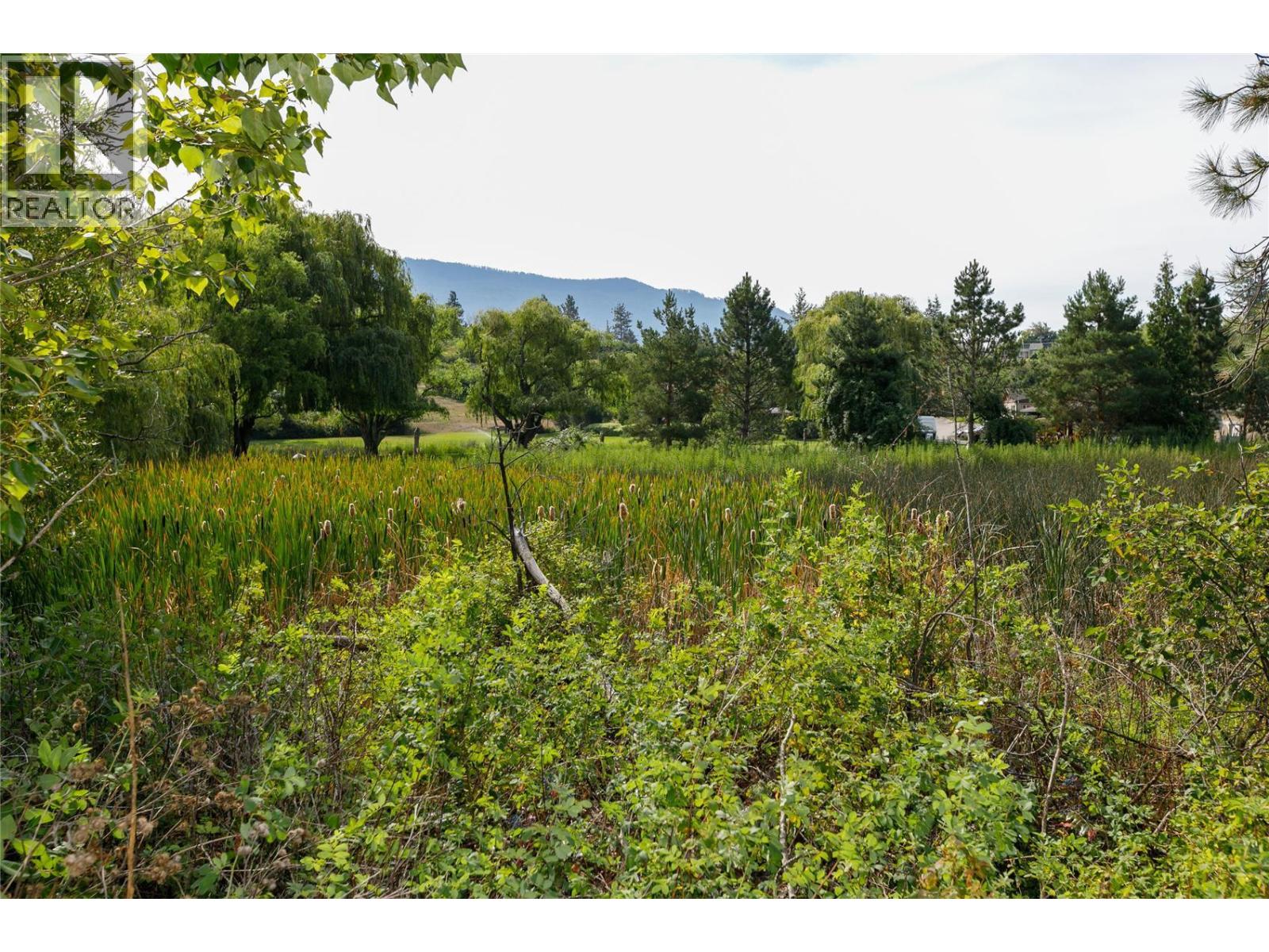 16821 Owl's Nest Road - 65