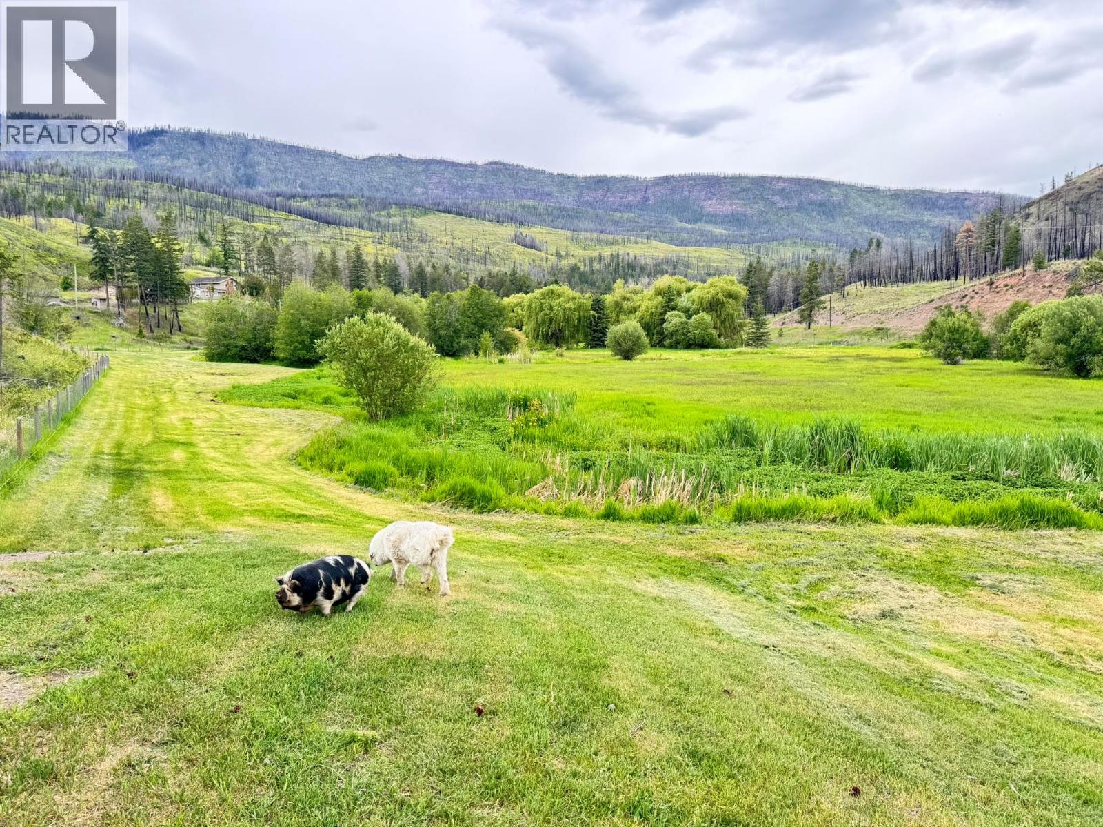 4316 Kamloops Vernon Highway - 50