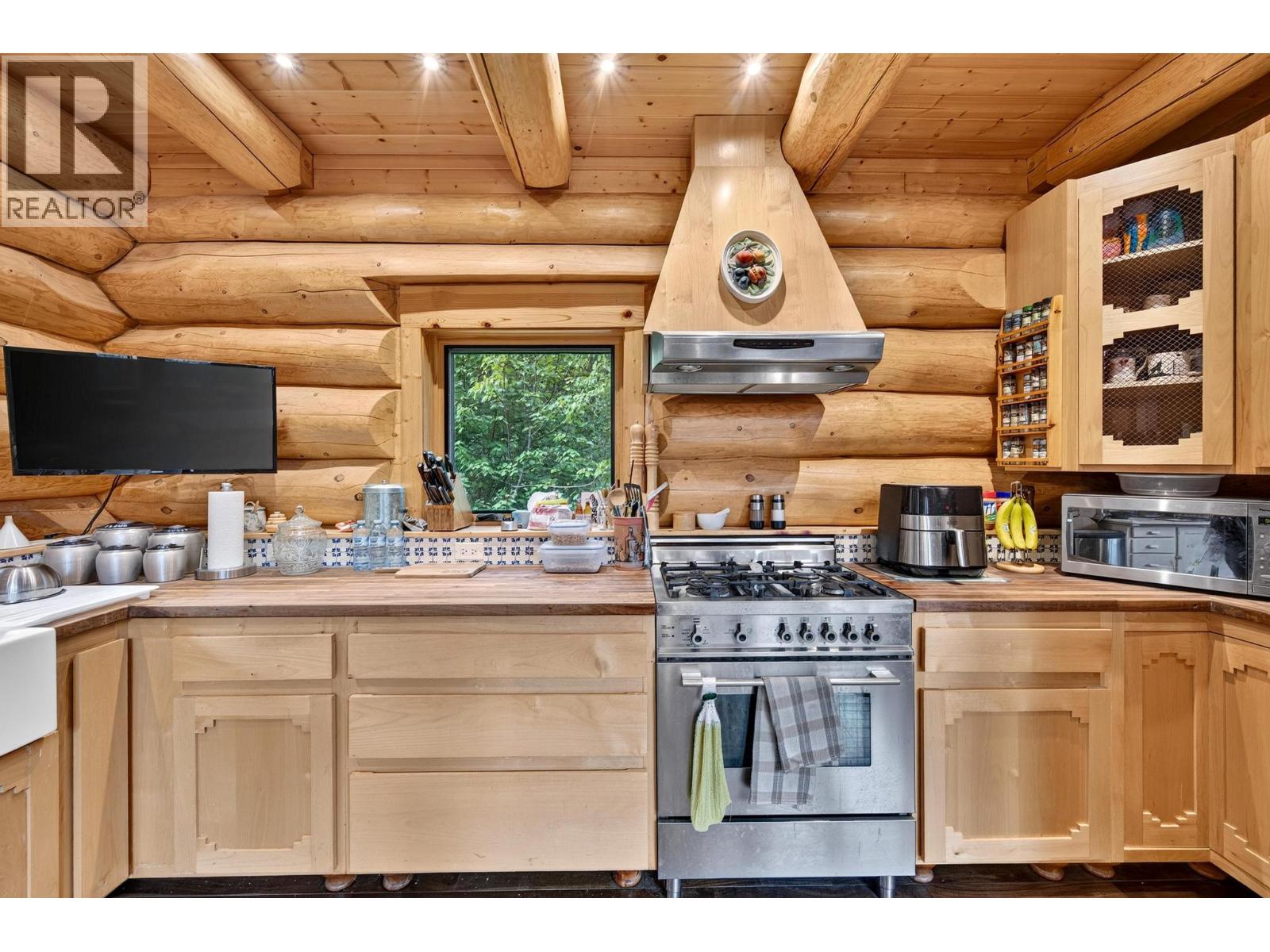 1419 Black Bear Drive - 21