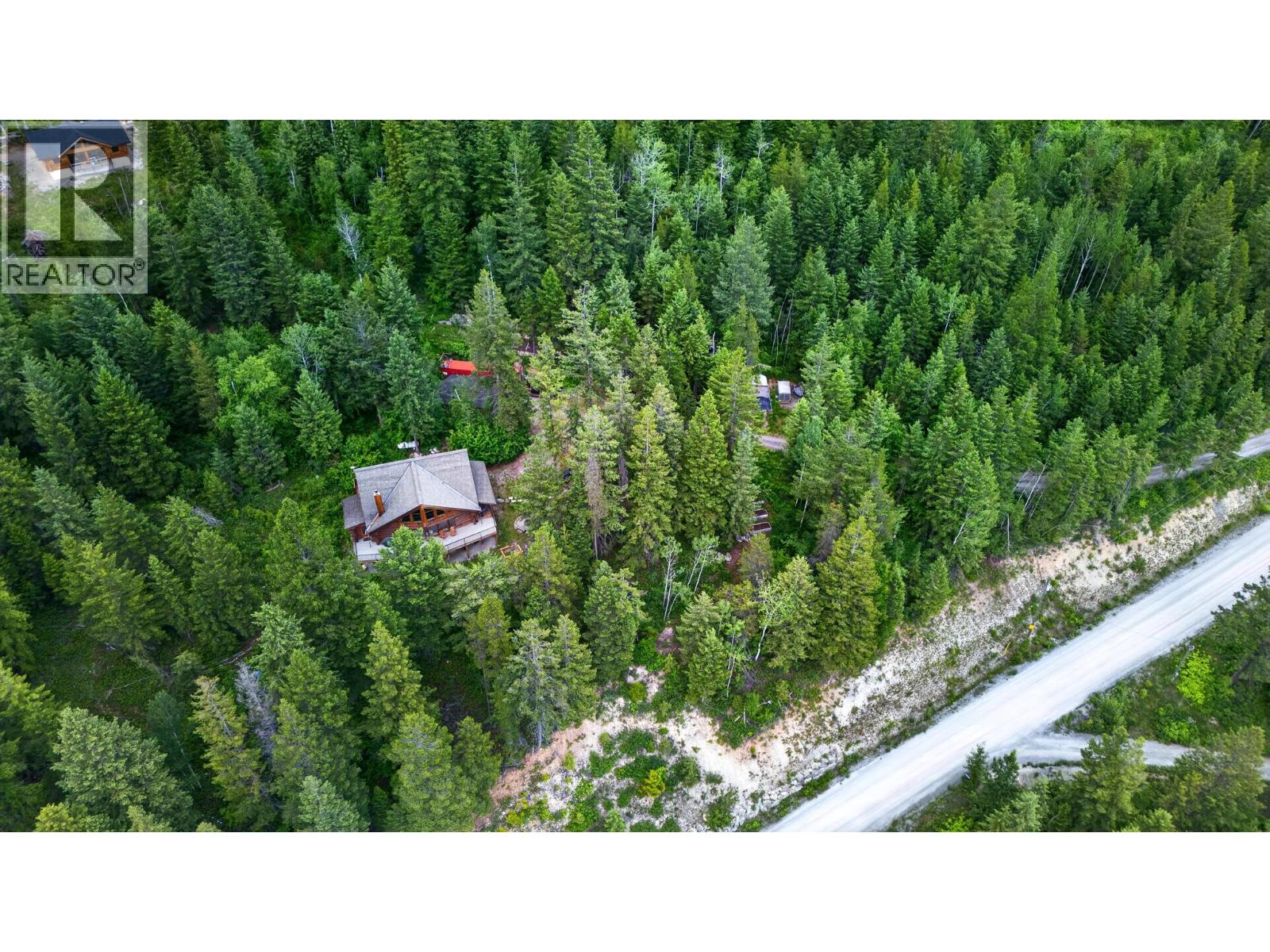 1419 Black Bear Drive - 89