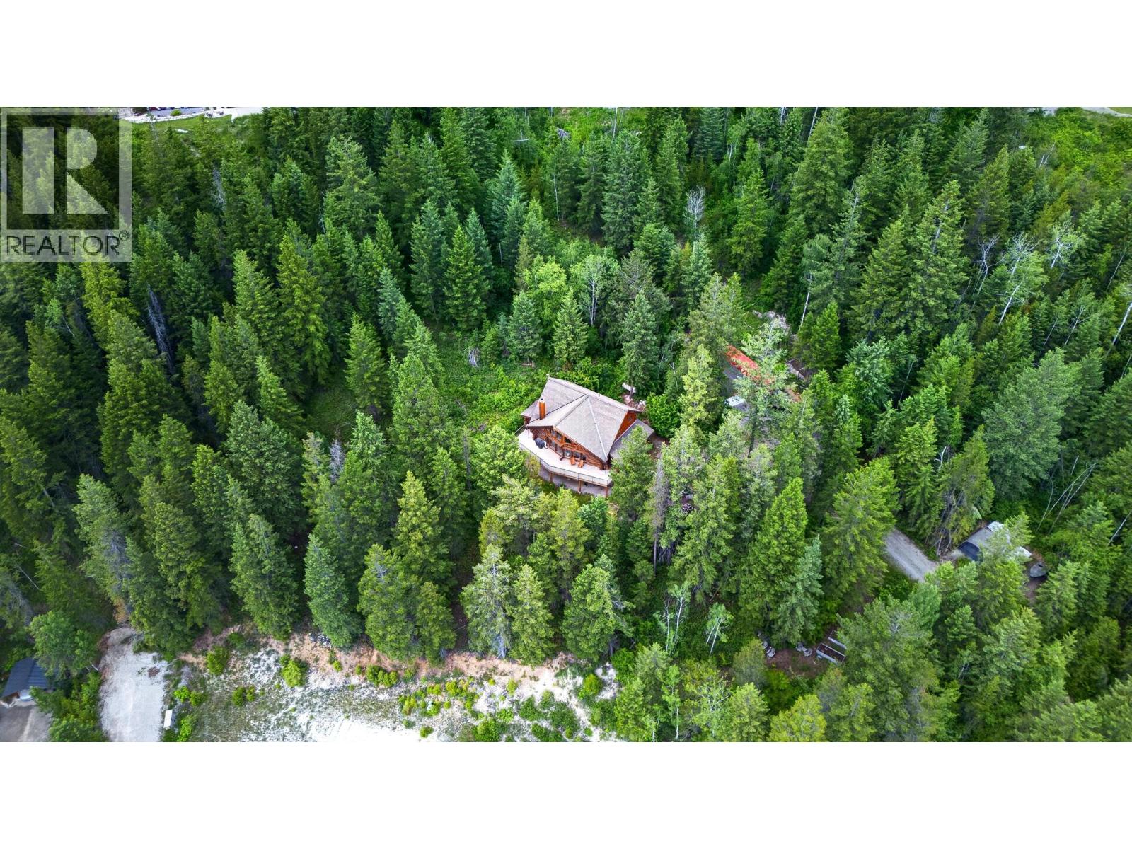 1419 Black Bear Drive - 86